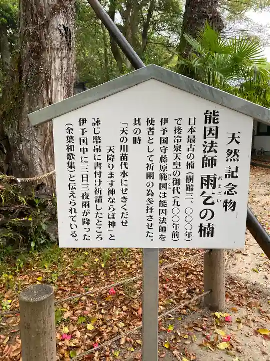 大山祇神社(愛媛県)