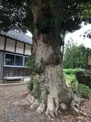 廣嶺神社(福井県)