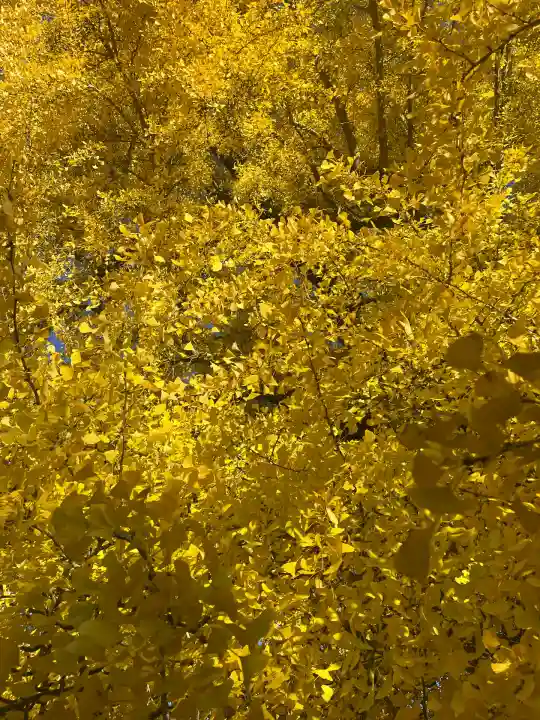 丹生酒殿神社(和歌山県)