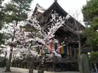 知恩院の{uncategorized: "未分類", other: "その他", undefined: "問題あり", building: "その他建物", grave: "お墓", sacred_gate: "鳥居", guardian: "狛犬", statue: "像", buddha: "仏像", history: "歴史", nature: "自然", garden: "庭園", animal: "動物", pagoda: "塔", temizu: "手水舎", mountain_gate: "山門・神門", sanctuary: "本殿・本堂", subordinate: "末社・摂社", art: "芸術", scenery: "景色", jizo: "地蔵", ema: "絵馬", goshuin: "御朱印", omikuji: "おみくじ", items: "授与品その他", amulet: "お守り", goshuincho: "御朱印帳", eats: "食事", festival: "お祭り", votive_dance: "神楽", shichigosan: "七五三参", wedding: "結婚式", experience: "体験その他", initially: "初詣", around: "周辺", anti_infection: "感染症対策"}