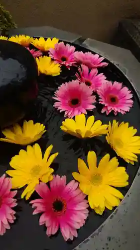 神楽坂安養寺(東京都)