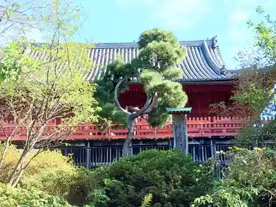 清水観音堂(東京都)