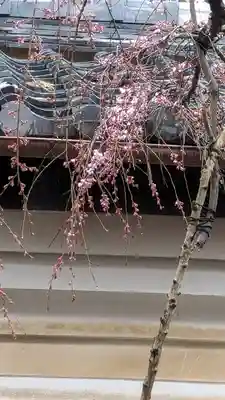 十輪寺(京都府)