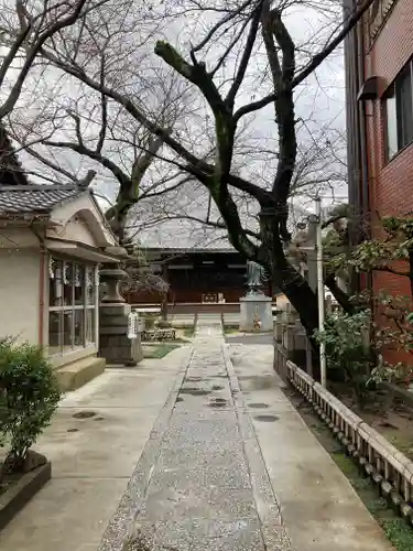 墨染寺（桜寺）(京都府)