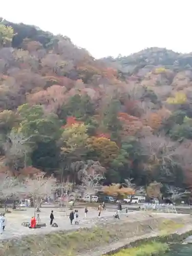 櫟谷宗像神社（松尾大社摂社）の周辺