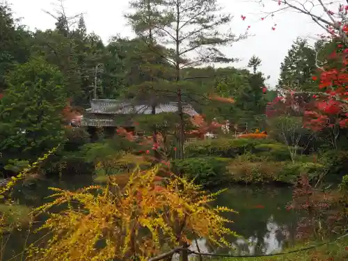 円成寺の{uncategorized: "未分類", other: "その他", undefined: "問題あり", building: "その他建物", grave: "お墓", sacred_gate: "鳥居", guardian: "狛犬", statue: "像", buddha: "仏像", history: "歴史", nature: "自然", garden: "庭園", animal: "動物", pagoda: "塔", temizu: "手水舎", mountain_gate: "山門・神門", sanctuary: "本殿・本堂", subordinate: "末社・摂社", art: "芸術", scenery: "景色", jizo: "地蔵", ema: "絵馬", goshuin: "御朱印", omikuji: "おみくじ", items: "授与品その他", amulet: "お守り", goshuincho: "御朱印帳", eats: "食事", festival: "お祭り", votive_dance: "神楽", shichigosan: "七五三参", wedding: "結婚式", experience: "体験その他", initially: "初詣", around: "周辺", anti_infection: "感染症対策"}