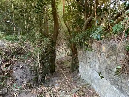 諏訪神社の自然