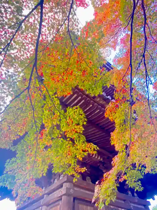 法観寺(京都府)