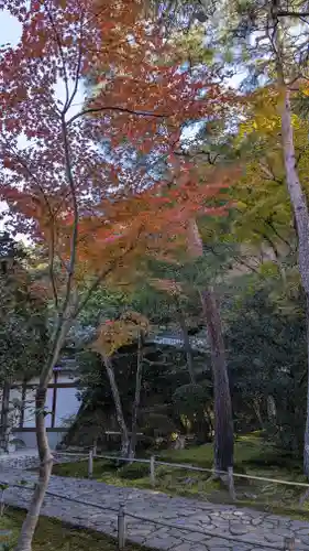 法然院(京都府)