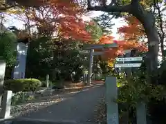 西江寺の周辺