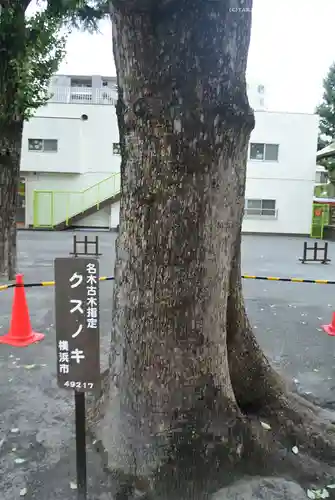 お三の宮日枝神社(神奈川県)