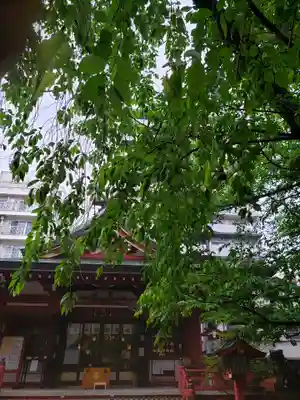 秋葉神社(東京都)