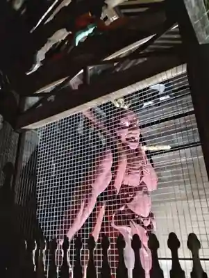 岩殿山安楽寺(吉見観音)(埼玉県)