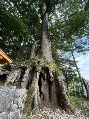 富士山東口本宮 冨士浅間神社(静岡県)