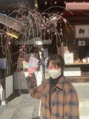 東京大神宮(東京都)