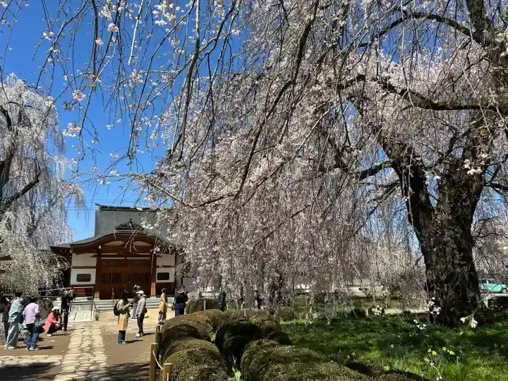 安養寺の{uncategorized: "未分類", other: "その他", undefined: "問題あり", building: "その他建物", grave: "お墓", sacred_gate: "鳥居", guardian: "狛犬", statue: "像", buddha: "仏像", history: "歴史", nature: "自然", garden: "庭園", animal: "動物", pagoda: "塔", temizu: "手水舎", mountain_gate: "山門・神門", sanctuary: "本殿・本堂", subordinate: "末社・摂社", art: "芸術", scenery: "景色", jizo: "地蔵", ema: "絵馬", goshuin: "御朱印", omikuji: "おみくじ", items: "授与品その他", amulet: "お守り", goshuincho: "御朱印帳", eats: "食事", festival: "お祭り", votive_dance: "神楽", shichigosan: "七五三参", wedding: "結婚式", experience: "体験その他", initially: "初詣", around: "周辺", anti_infection: "感染症対策"}