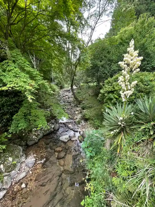 中山神社の周辺