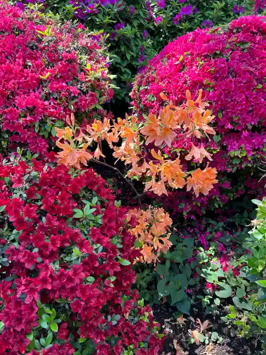 根津神社(東京都)