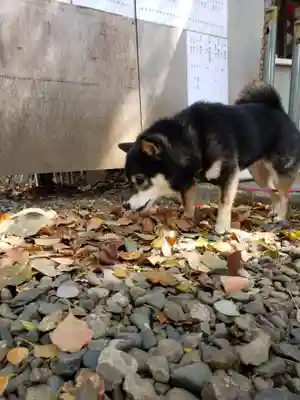 上目黒氷川神社(東京都)