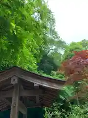 長命寺の自然