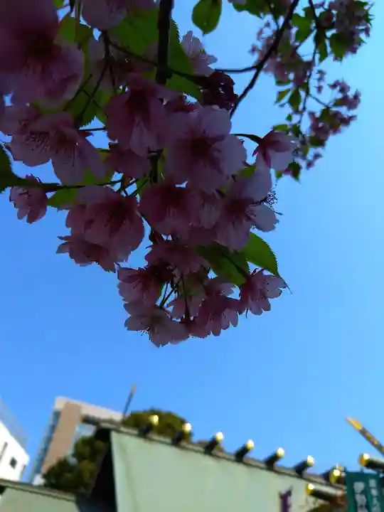 東京大神宮(東京都)