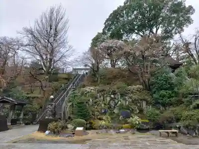 達磨寺(群馬県)