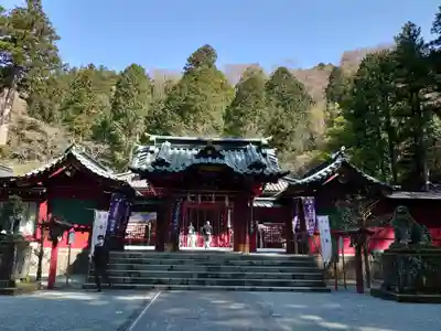 箱根神社の本殿・本堂