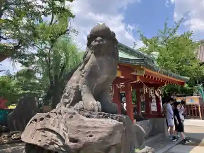 浅草神社の狛犬