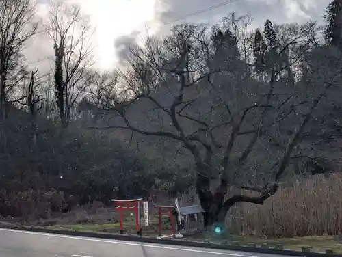 宇賀神さま(福島県)