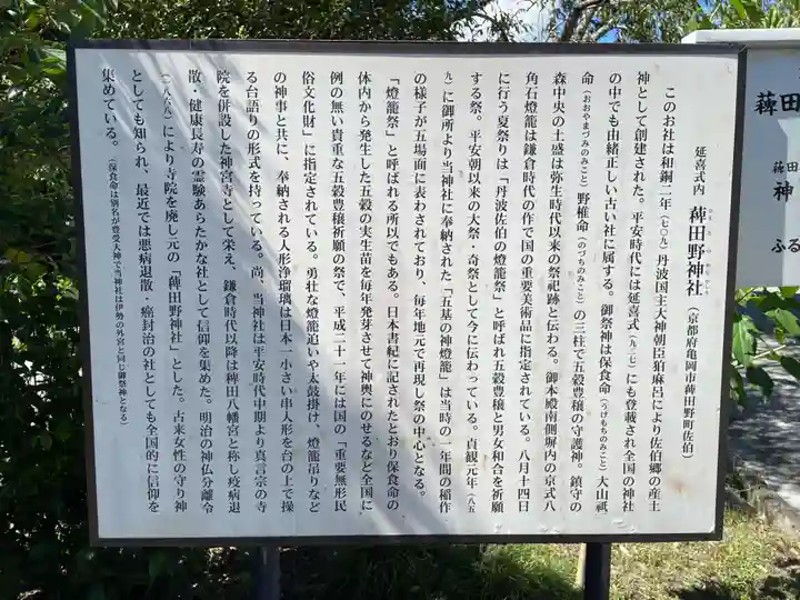 稗田野神社(薭田野神社)(京都府)