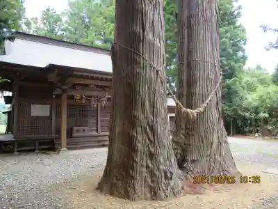 飯豊和気神社の自然