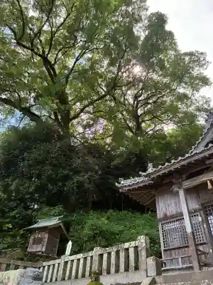 裳着神社(長崎県)