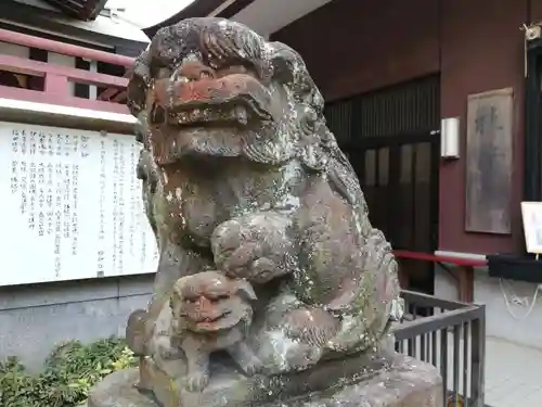 柏神社の狛犬