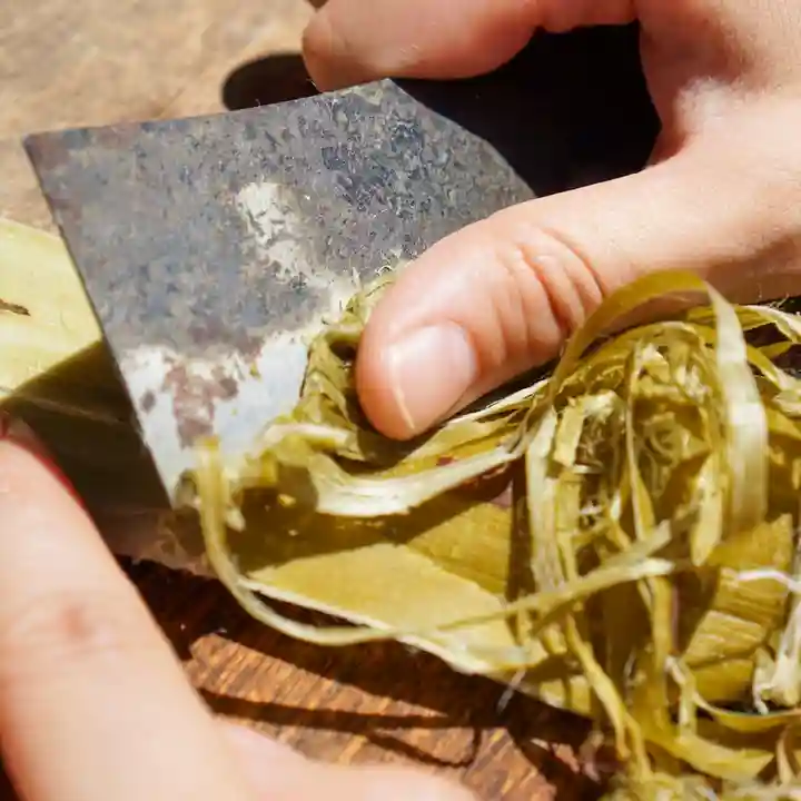 諫早神社(九州総守護 四面宮)(長崎県)