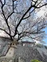 雲願寺(広島県)