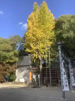 富部神社(愛知県)