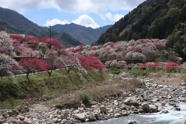 東円寺(岐阜県)