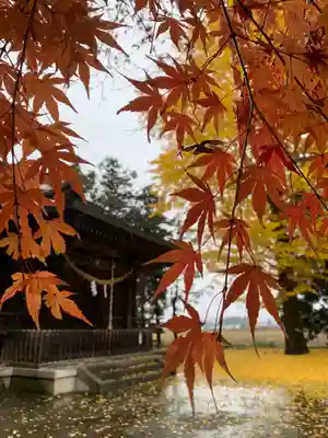桜町二宮神社の本殿・本堂