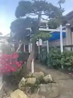 白藤稲荷社(神奈川県)