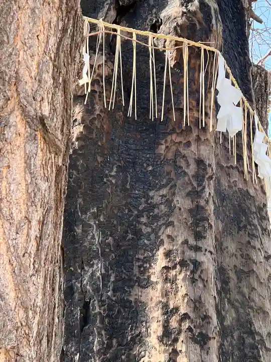 飛木稲荷神社(東京都)