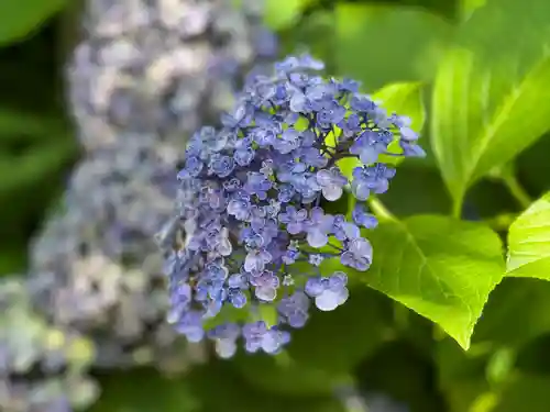 豊景神社(福島県)