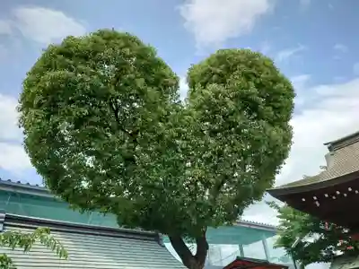 南宮宇佐八幡神社（脇浜神社）(兵庫県)