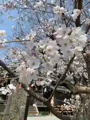  高鳥天満宮の自然