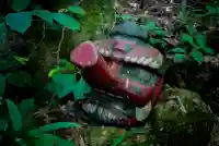 二井寺山極楽寺のその他建物