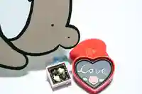 くまくま神社(導きの社 熊野町熊野神社)(東京都)