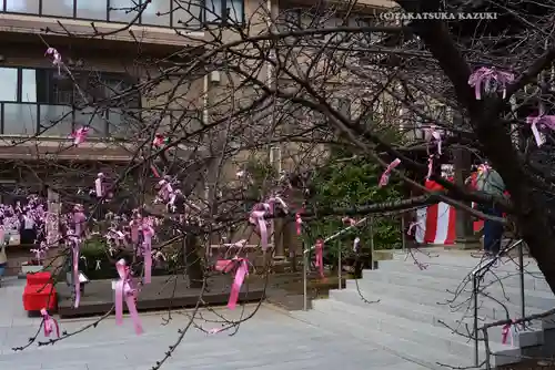 桜神宮(東京都)