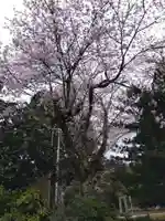 八幡神社(福井県)