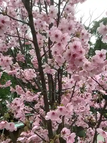 富部神社の自然