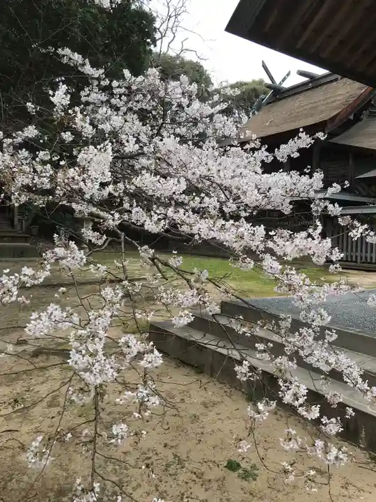 長浜神社の本殿・本堂