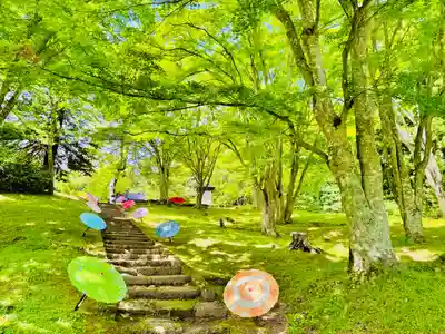 土津神社｜こどもと出世の神さま(福島県)